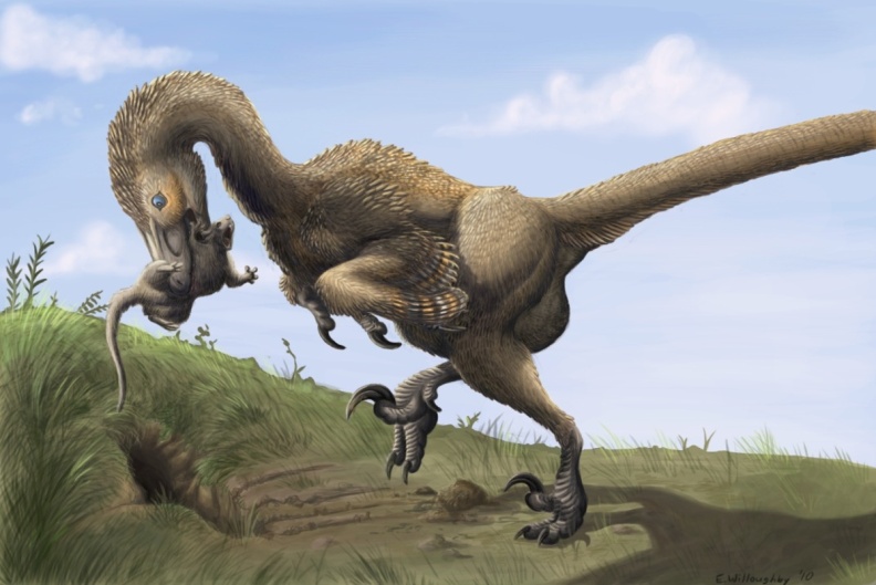 † Saurornitholestes langstoni (vor etwa 83,6 bis 66 Millionen Jahren)