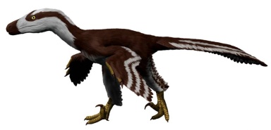 † Acheroraptor temertyorum (vor etwa 72 bis 66 Millionen Jahren)