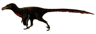 † Adasaurus mongoliensis (vor etwa 72 bis 66 Millionen Jahren)