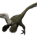 † Kansaignathus sogdianus (vor etwa 86,3 bis 83,6 Millionen Jahren)