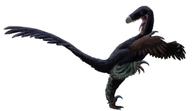 † Luanchuanraptor henanensis (vor etwa 72 bis 66 Millionen Jahren)