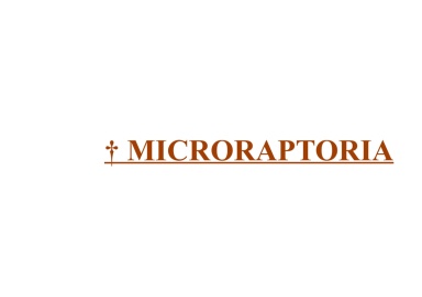 † Microraptoria