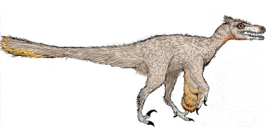 † Pyroraptor olympius (vor etwa 72 bis 66 Millionen Jahren)