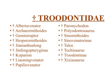 † Troodontidae