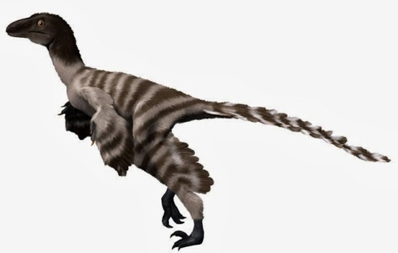 † Geminiraptor suarezarum (vor etwa 139,3 bis 133,9 Millionen Jahren)