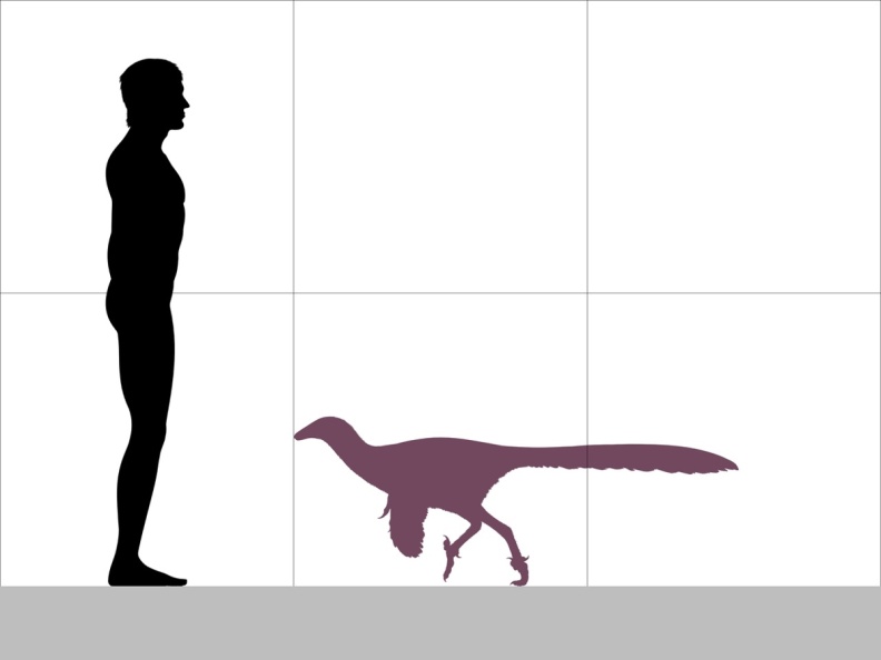 † Geminiraptor suarezarum (vor etwa 139,3 bis 133,9 Millionen Jahren)