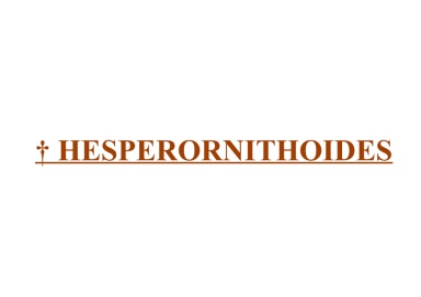 † Hesperornithoides