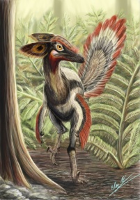 † Philovenator curriei (vor etwa 83,6 bis 72 Millionen Jahren)