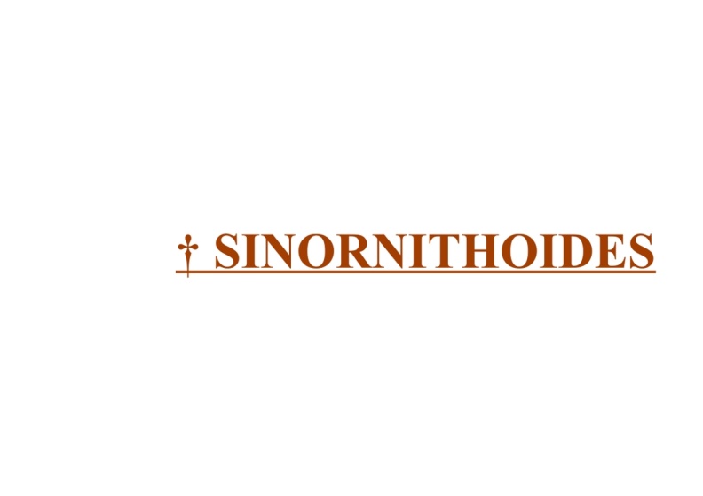 † Sinornithoides
