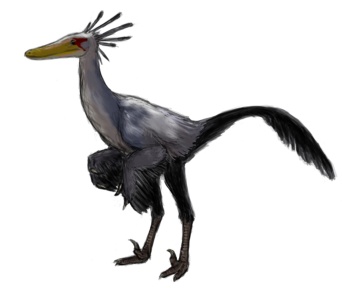 † Byronosaurus jaffei (vor etwa 83,6 bis 72 Millionen Jahren)
