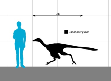 † Zanabazar junior (vor etwa 72 bis 66 Millionen Jahren)