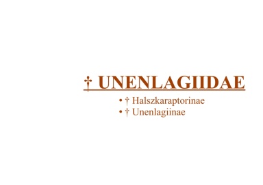 † Unenlagiidae