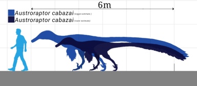 † Austroraptor cabazai (vor etwa 83,6 bis 66 Millionen Jahren)
