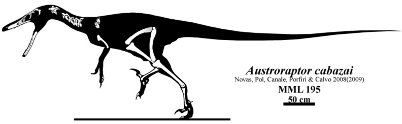 † Austroraptor cabazai (vor etwa 83,6 bis 66 Millionen Jahren)