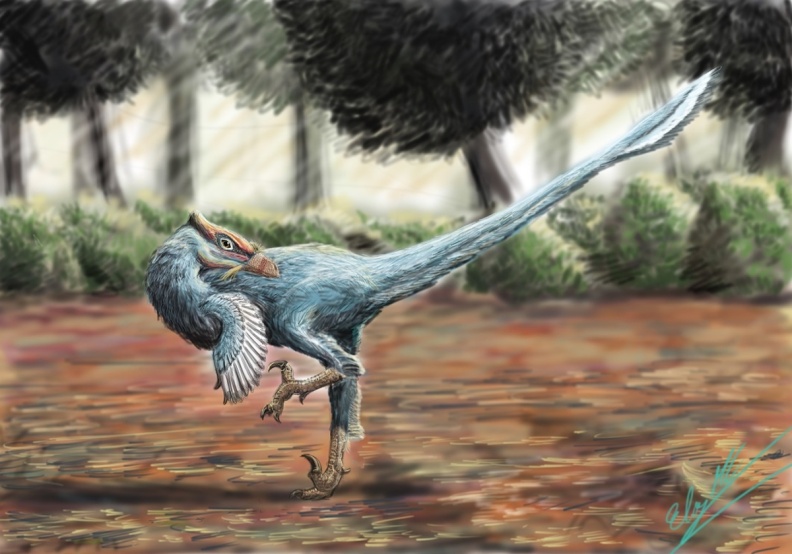 † Pamparaptor micros (vor etwa 93,9 bis 86,3 Millionen Jahren)