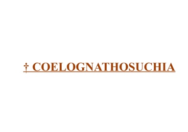 † Coelognathosuchia
