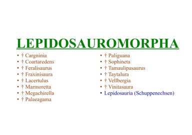 Lepidosauromorpha