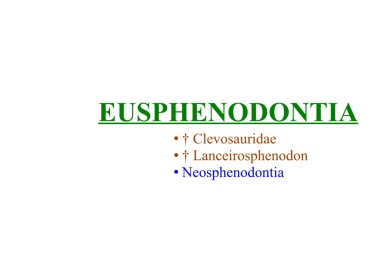 Eusphenodontia