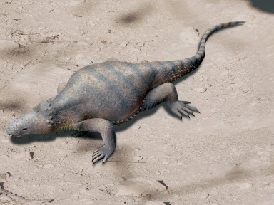 † Eunotosaurus africanus (vor etwa 265,1 bis 259,9 Millionen Jahren)