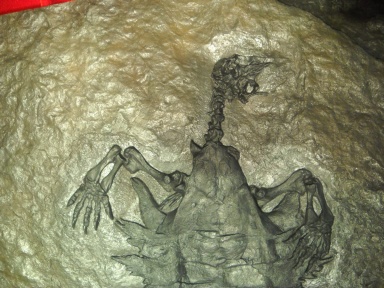 † Odontochelys semitestacea (vor etwa 235 bis 201,3 Millionen Jahren)