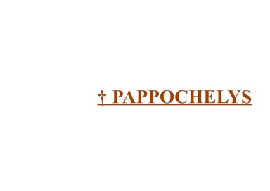 † Pappochelys