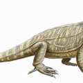 † Cutleria wilmarthi (vor etwa 295,5 bis 290,1 Millionen Jahren)