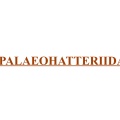 † Palaeohatteriidae