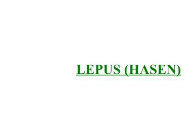 Lepus (Hasen) 
