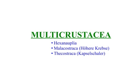 Multicrustacea