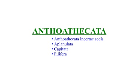 Anthoathecata