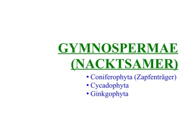 Gymnospermae (Nacktsamer) 