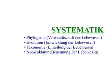 Systematik 